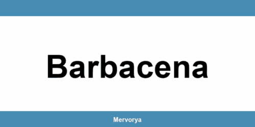 Telefone do Banco Mercantil em Barbacena