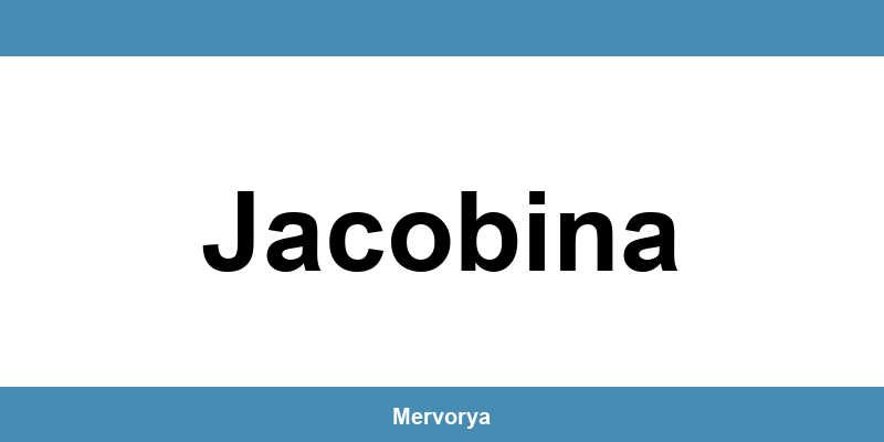 Telefone do Banco Mercantil em Jacobina